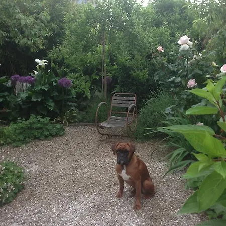 Logis Saint-leonard Bed & Breakfast Honfleur
