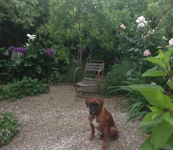 Logis Saint-leonard Bed & Breakfast Honfleur